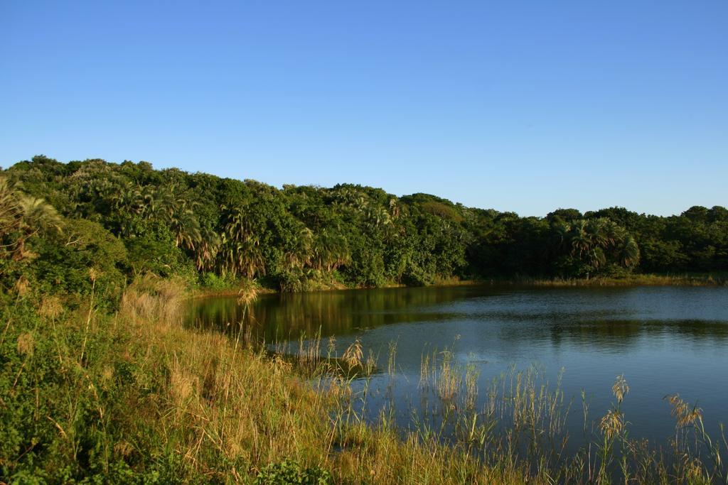 Imvubu Lodge Richardsbaai Buitenkant foto